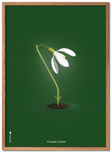 Brainchild – Affisch – Klassisk – Grön – Snödroppar